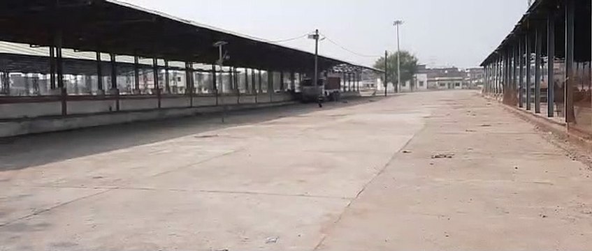 डीएपी के दाम 50 रुपए बढऩे से रबी की लागत बढ़ी, उपज के भी नहीं मिल रहे सही दाम