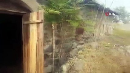 - Ermenistan Gubadlı'da tarihi camiyi domuz ahırına çevirmiş