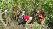 Bombeiros resgatam vaca atolada em lamaçal