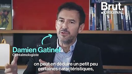 Comment les yeux des animaux ont-ils évolué pour s'adapter à leur mode de vie ?