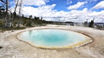 Park Rangers Don't Want You Cooking Whole Chickens in Yellowstone's Hot Springs