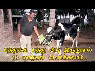 சரவணக்குமாரின் சூப்பர் ஹிட் மாடு வளர்க்கும் முறை