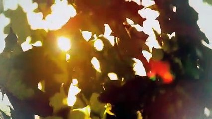 A vendre - Maison - La Chaux-de-Fonds (2300) - 9 pièces - 300m²