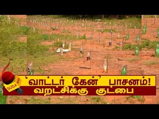 வறட்சிக்கு குட்பை சொல்லும் ‘வாட்டர் கேன்’ பாசனம்!