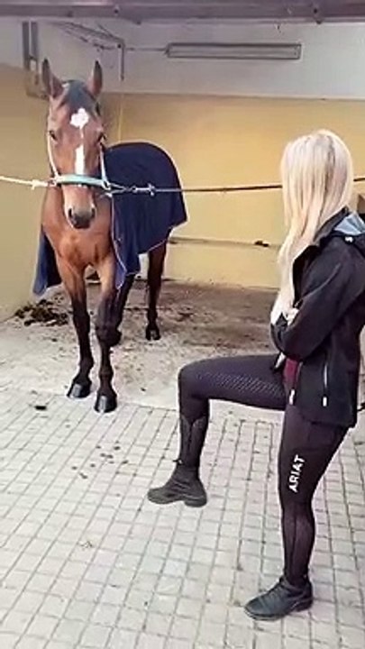 Amazing Dance By Horse: Copying Steps