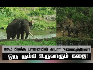 கதறிய மாதன்! நேருக்கு நேர் நின்ற காட்டு யானை ! | அத்தியாயம் 23