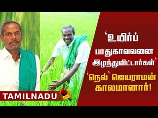 பாரம்பர்ய நெல் ரகங்களை மீட்டெடுத்த `நெல்' ஜெயராமன்!