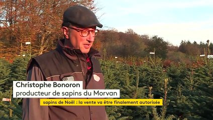 La vente des sapins de Noël devrait être autorisée malgré le confinement