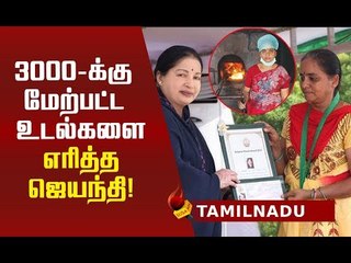 இதெல்லாம் ஒரு வேலையானு கேப்பாங்க.. பல நாள்கள் அழுதிருக்கேன்!