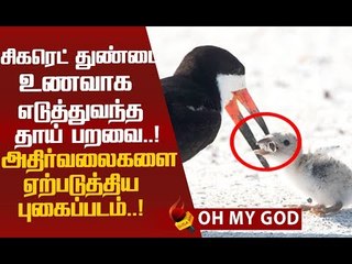 ' ப்ளீஸ் இதைச் செய்யாதீர்கள்..!' உலகை அதிரவைக்கும் புகைப்படம்!