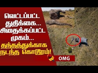 உலகை உலுக்கிய ஒற்றைப் புகைப்படம்! #Shocking