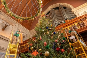 It’s Here! Watch the Biltmore’s 35-Foot Christmas Tree Come to Life