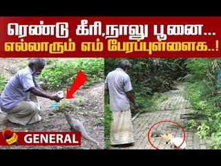 ``வா" என்றால் ஓடி வரும் கீரிப்பிள்ளைகள் - வித்தியாச மனிதர் அமீர்!