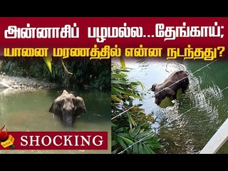 தேடப்படும் எஸ்டேட் உரிமையாளர், மகன்!’  என்ன நடந்தது?
