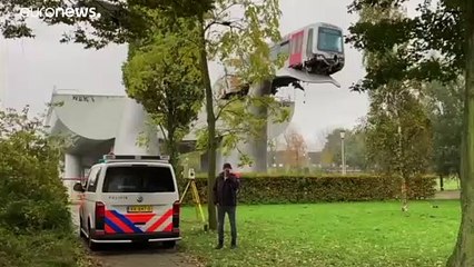 شاهد: كوارث ومعجزات بين ليلة وضحاها حول العالم