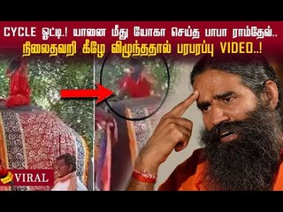 Cycle ஓட்டி.! யானை மீது யோகா செய்த கீழே விழுந்த பாபா ராம்தேவ்! #viralvideo