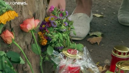 Áustria encerra duas mesquitas onde o terrorista se radicalizou