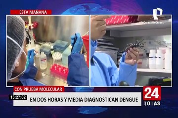Dengue en Perú: pruebas moleculares diagnostican la enfermedad en dos horas y media