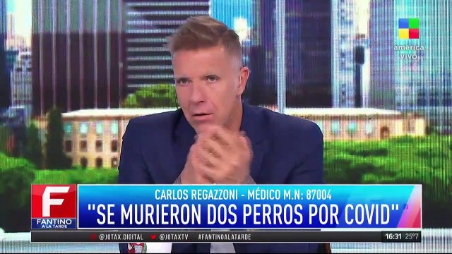 Dinamarca sacrificará sus visones por una mutación del virus