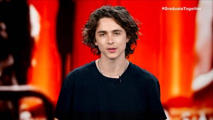 Timothée Chalamet's Bob Dylan Biopic Is Put on Hold