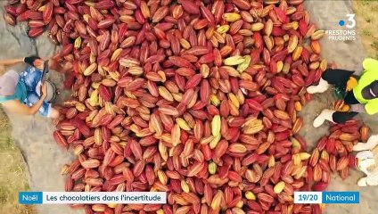 Noël : une saison difficile pour les chocolatiers