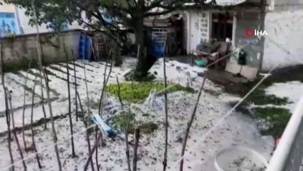 Ceviz büyüklüğündeki dolu ekinlere zarar verdi