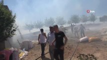Son dakika haber | Adıyaman'da korkutan yangın: Hayvanlar alevler arasında kalarak yaralandı, 4 kişi dumandan etkilendi