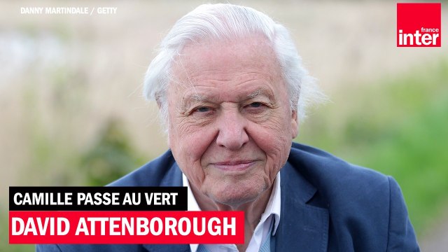 Sir David Attenborough, 95 ans, naturaliste et icône - Camille Passe au Vert