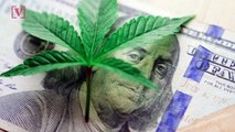 Legal Cannabis Businesses Reached a Record $17.5 Billion in Sales in 2020