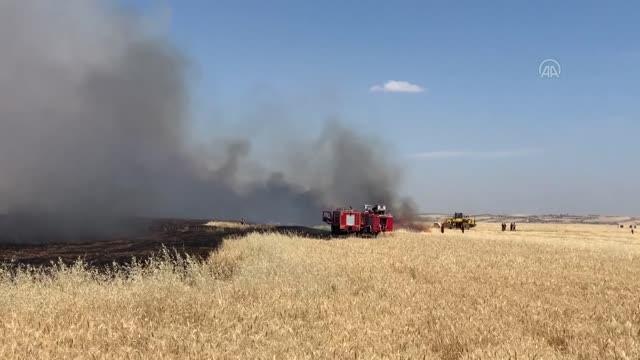 Son dakika haber | Yangında 300 dönüm arpa ve buğday ekili tarla zarar gördü