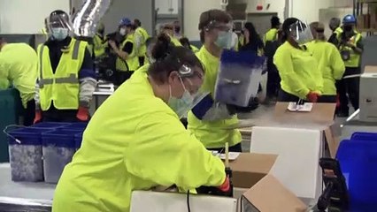 Impferfolge und Corona-Mutationen in der EU