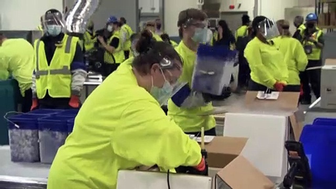 Impferfolge und Corona-Mutationen in der EU