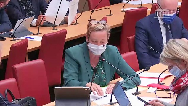 Commission du développement durable : Réduire l’empreinte environnementale du numérique en France (suite) - Mardi 25 mai 2021