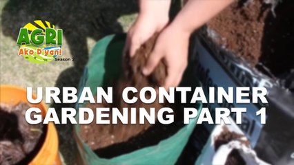 “URBAN CONTAINER GARDENING PART 1” Ep.51 AGRI Ako D’yan