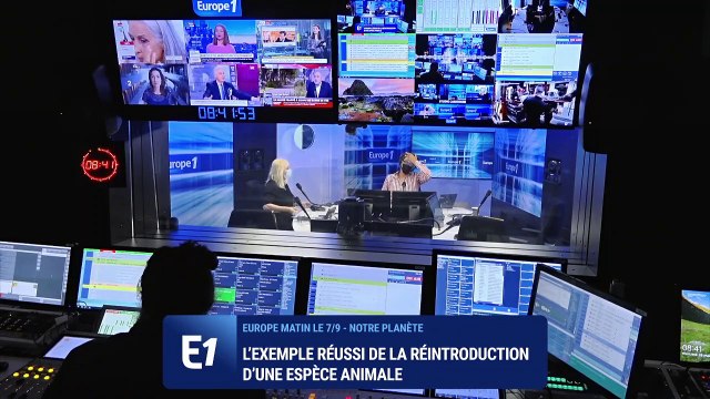 Réintroduction d’une espèce animale : le diable de Tasmanie renait en Australie