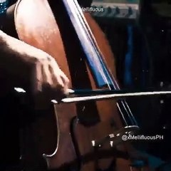 Hard To Say Am Sorry