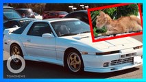 Pria Jepang Lelang Mobil Kesayangan Demi Obati Kucingnya - TomoNews