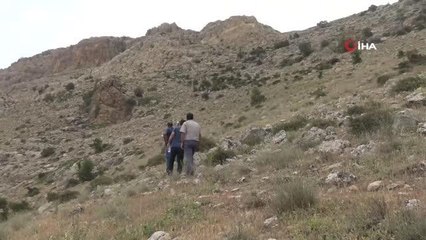 Bağladığı kemerle metrelerce yükseğe çıkıyor... Dağların zirvesinden gelen balın kilosunu bin liradan satıyor