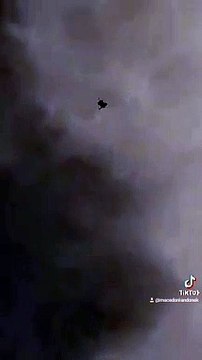 Makedonski dunek, macedonian donek, pacali donek, pigeon, pet, hobby, animal, guvercin