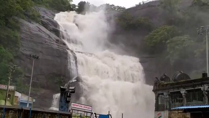 விடிய, விடிய வெளுத்து வாங்கிய கனமழை.. குற்றாலம் அருவிகளில் வெள்ளபெருக்கு - வீடியோ