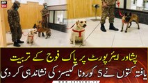 Sniffer dogs detect 5 more Covid-infected passenger at Peshawar airport