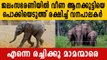 Watch: Baby Elephant Rescued From Water Reservoir In 4-Hour Operation