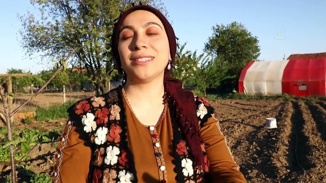 ANKARA - Çubuklu öğretmen, 3 yıl önce başladığı kümes hayvanı yetiştiriciliğinde 1500 tavuğa ulaştı