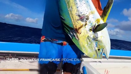 Polynésie française - Pêche en poti mara