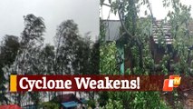 #CycloneYaas Weakened, But Strong Winds Still Prevail In Odisha's Nilagiri: SRC
