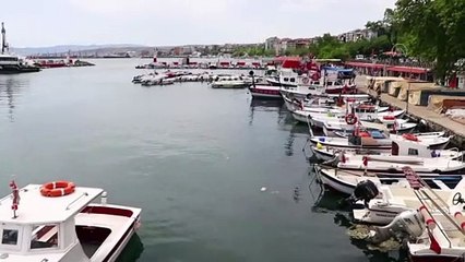 TEKİRDAĞ - Devam eden deniz salyası nedeniyle balık fiyatları düşmüyor