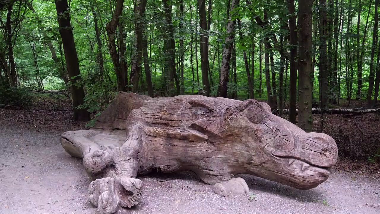 Externsteine Nordrhein-Westfalen