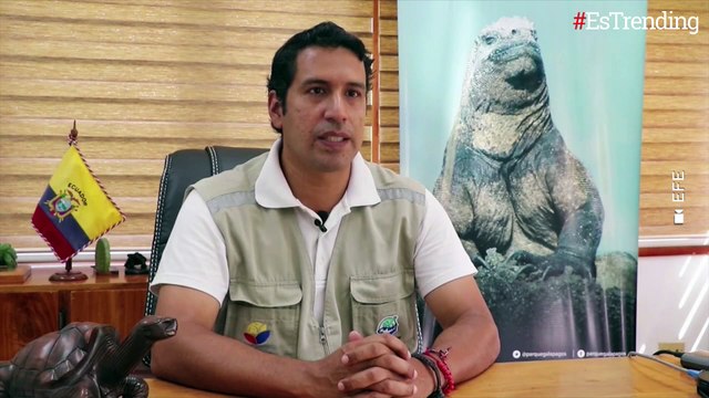 Hallan especie de tortuga que se creía extinta hace 100 años en las Islas Galápagos