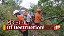 #CycloneYaas: Scenes Of Destruction In Mayurbhanj, Trees Uprooted, Houses Damaged