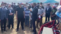 EDİRNE -Türkiye'nin çeltik ambarı Edirne'de damla sulama sistemiyle ekim yapıldı